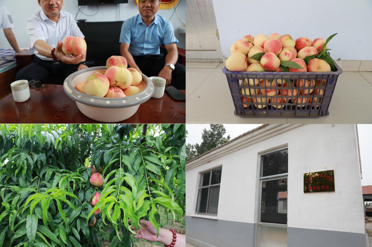 39dccb7944276761bee59debe00939f