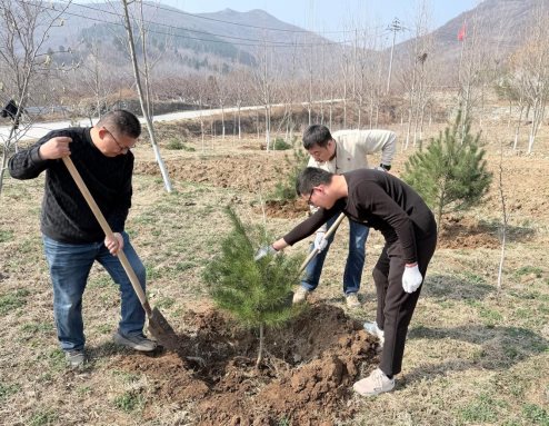 71197a35b0f2237bc091f4981e52f05